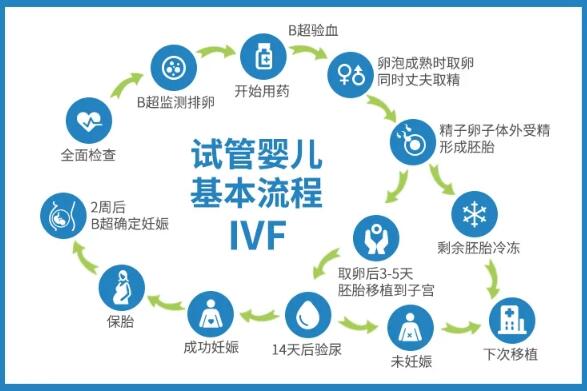 上海三代试管婴儿流程步骤